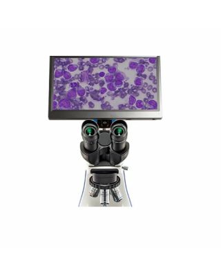 LW Scientific Monitor 1080P BVP-SCRN-1163